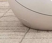 小佩闷死猫后续,小佩猫窝现在还有吗