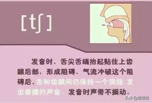 音标教学视频48个快速记忆法,英语48个音标发音教程视频