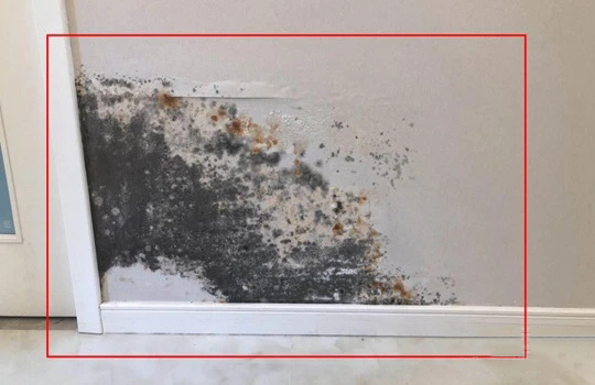 保利精装房与样板间有区别吗,保利精装房和毛坯房差价