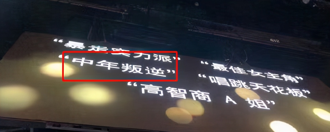 为爱息影的电视剧,为爱息影30年罕见现身