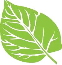 南湖湿地公园趣味运动会,元旦南湖有什么活动