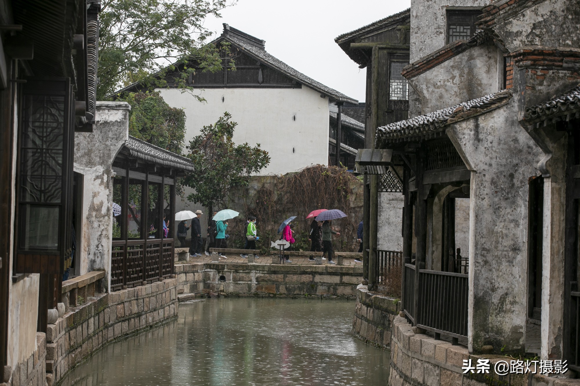沙家浜江南美景,常熟芦苇荡螃蟹