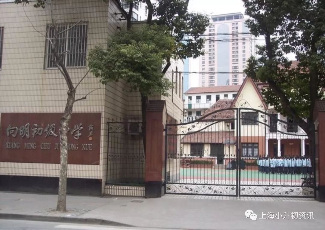 2020黄浦区公办初中排名,2019年上海初中预录取排名榜