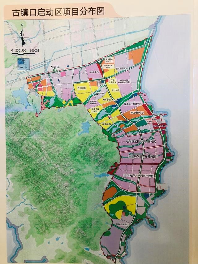 不要光焦虑了！看看青岛潜力学区再说