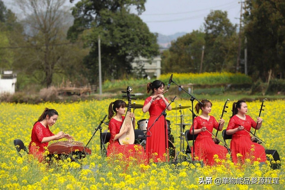 江西婺源油菜花音乐节,婺源油菜花文化节