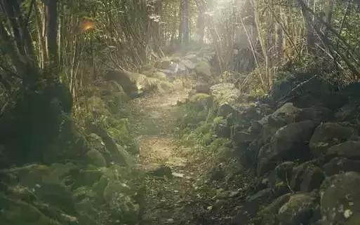 户外迷路怎么找到出路,户外迷路自救方法