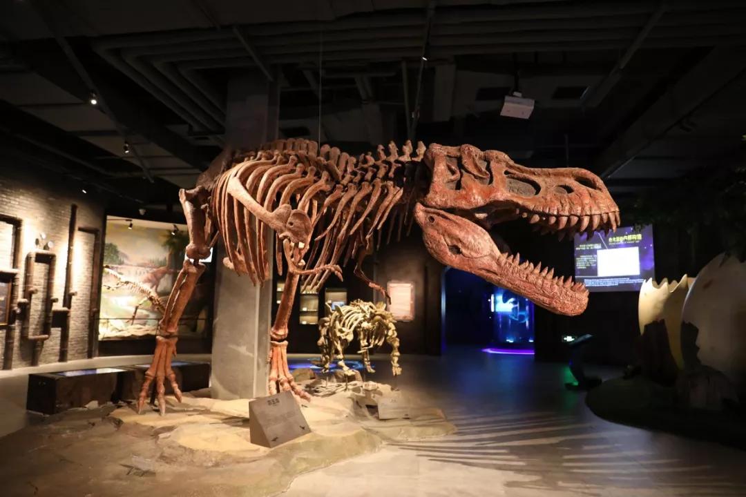 夜虹口，你要这么白相才够嗲！