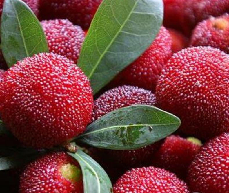 霉运连连的人该怎么摆脱这种情况,怎样才能让一个人走霉运一败涂地