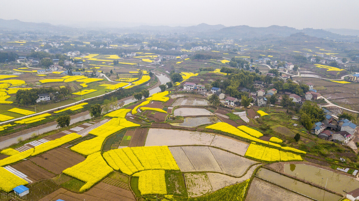 读书｜品韩诗｜新定义：折得东风第一枝；新创作：万紫千红总是春