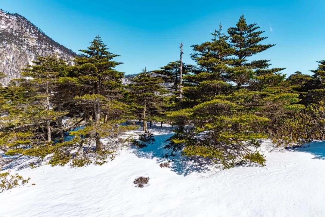 大理苍山风景图片大全,大理苍山顶的风景