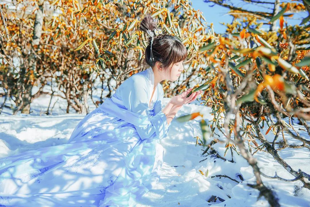 10句惊艳岁月的诗词,十首岁月静好的诗句