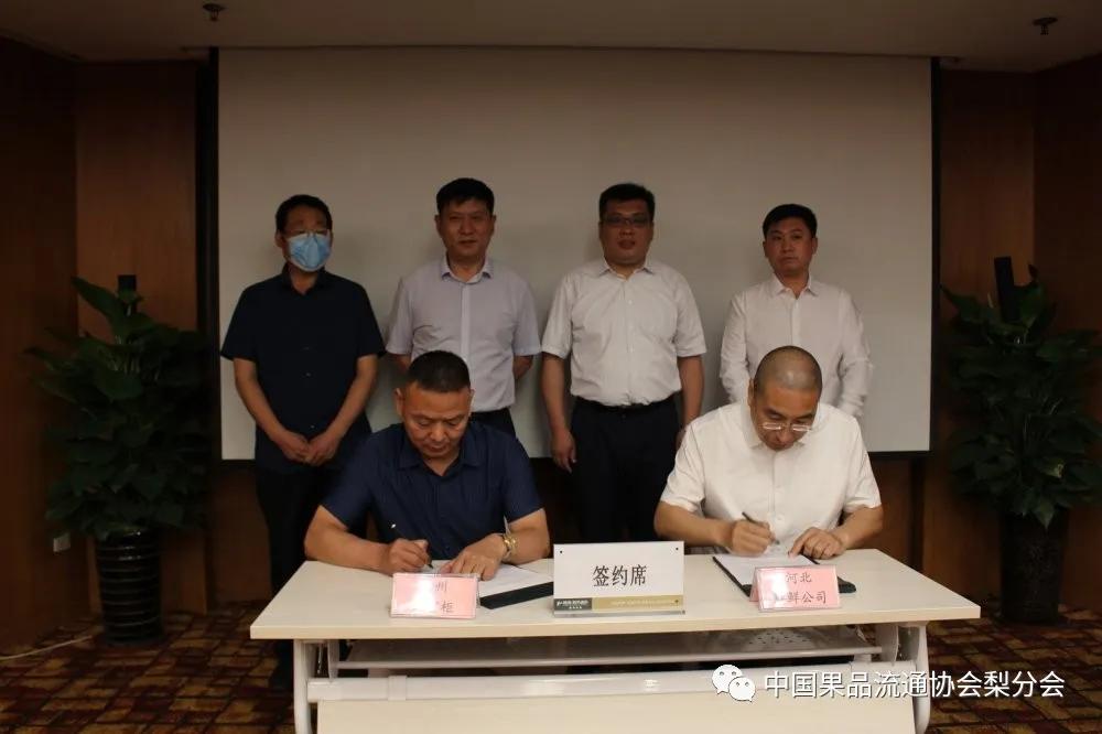 河北-*疆新**库尔勒鲜梨企业对接会在石家庄成功举办