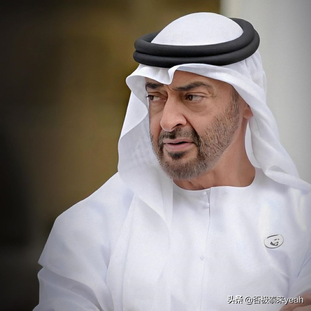 野心之大，一个阿拉伯半岛都装不下——MBZ（下）