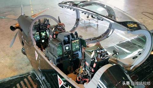 亚马逊巨嘴鸟,巨型巨嘴鸟