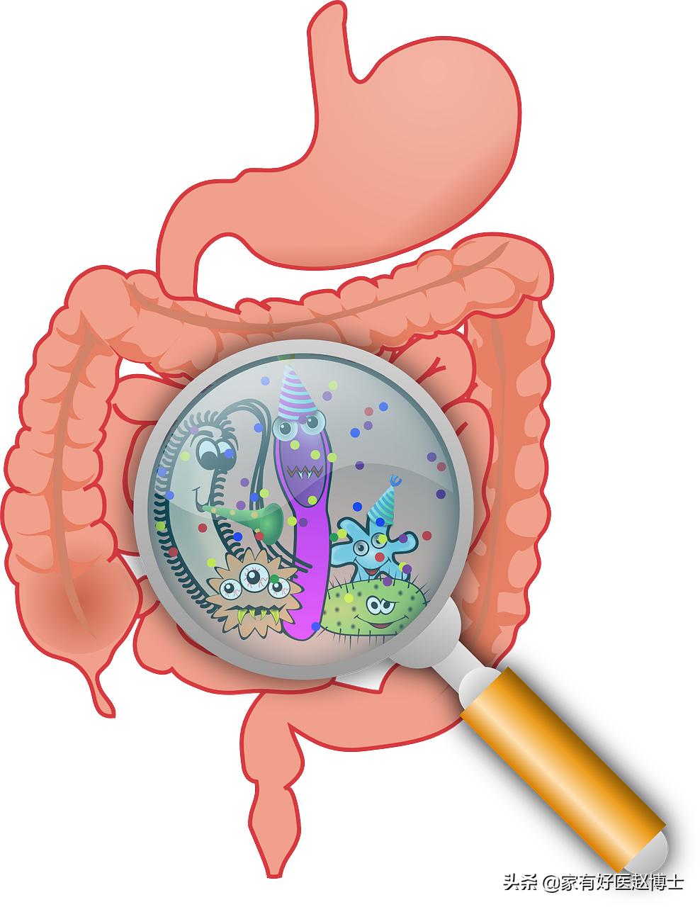 功能性便秘最快通便的方法,功能性便秘吃什么药有效