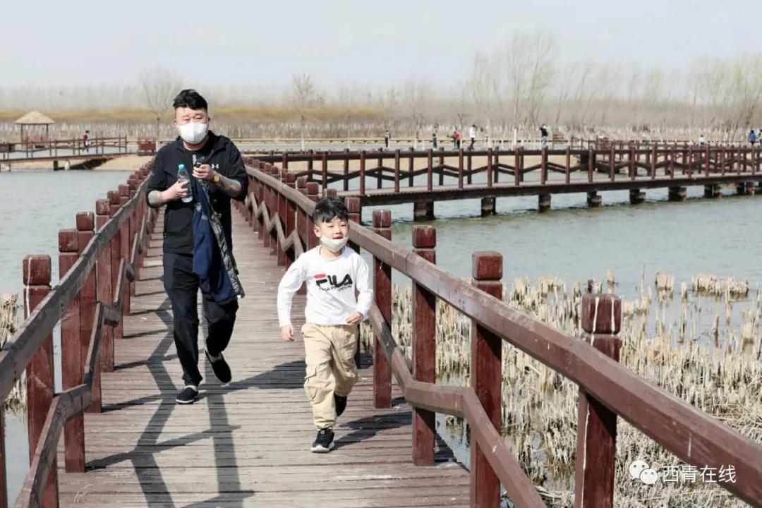 天津北辰郊野公园开放最新通知,天津都有哪些公园随时免费开放