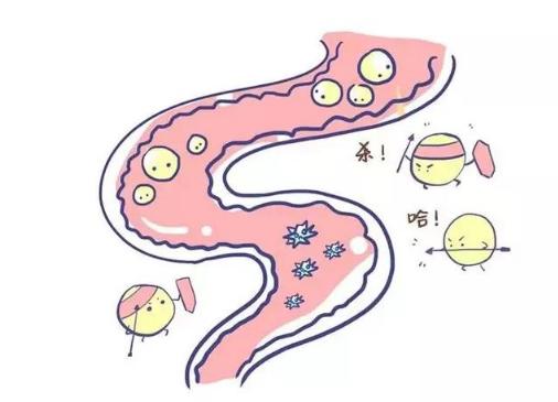 女人器官衰老情况,女性身体退化时间表