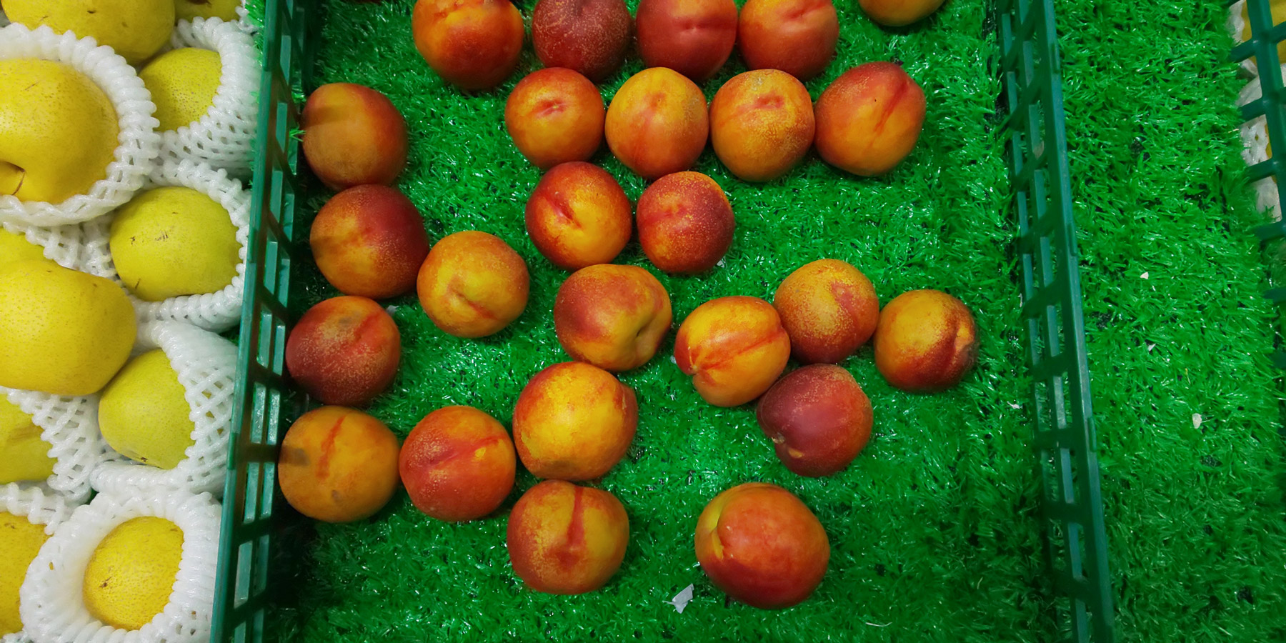 夏普r2主题,夏普r2显示效果