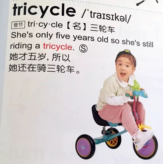 GrowingUp英汉彩图辞典3000字——能点读纠正发音的神器（下）