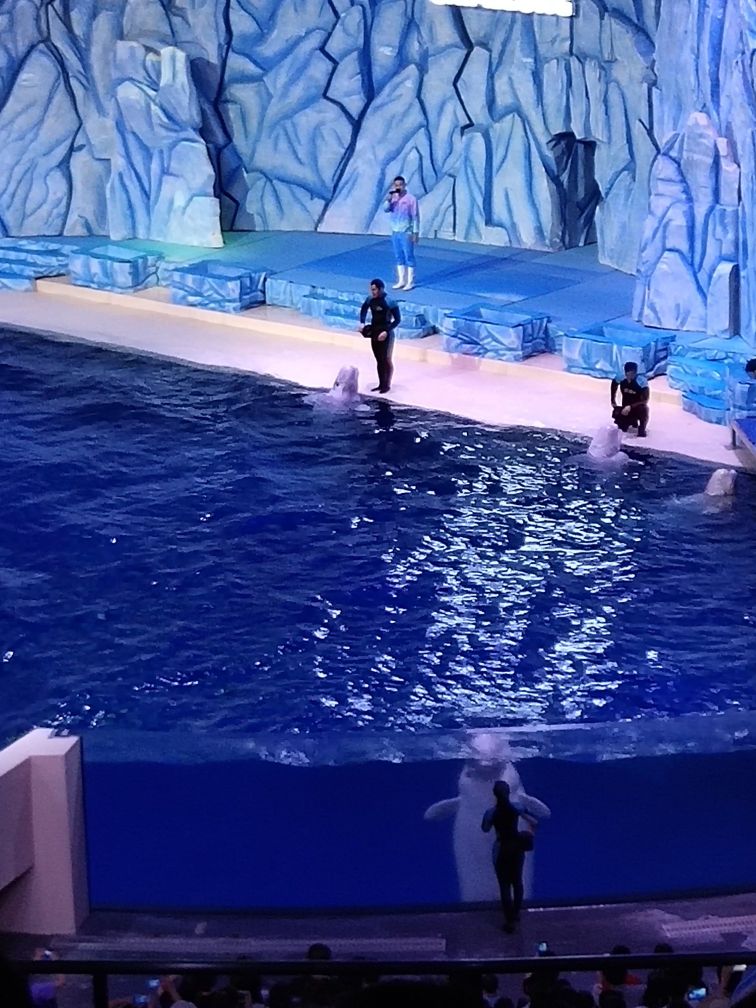 珠海长隆海洋王国二日游攻略,珠海长隆海洋王国一日游详细攻略