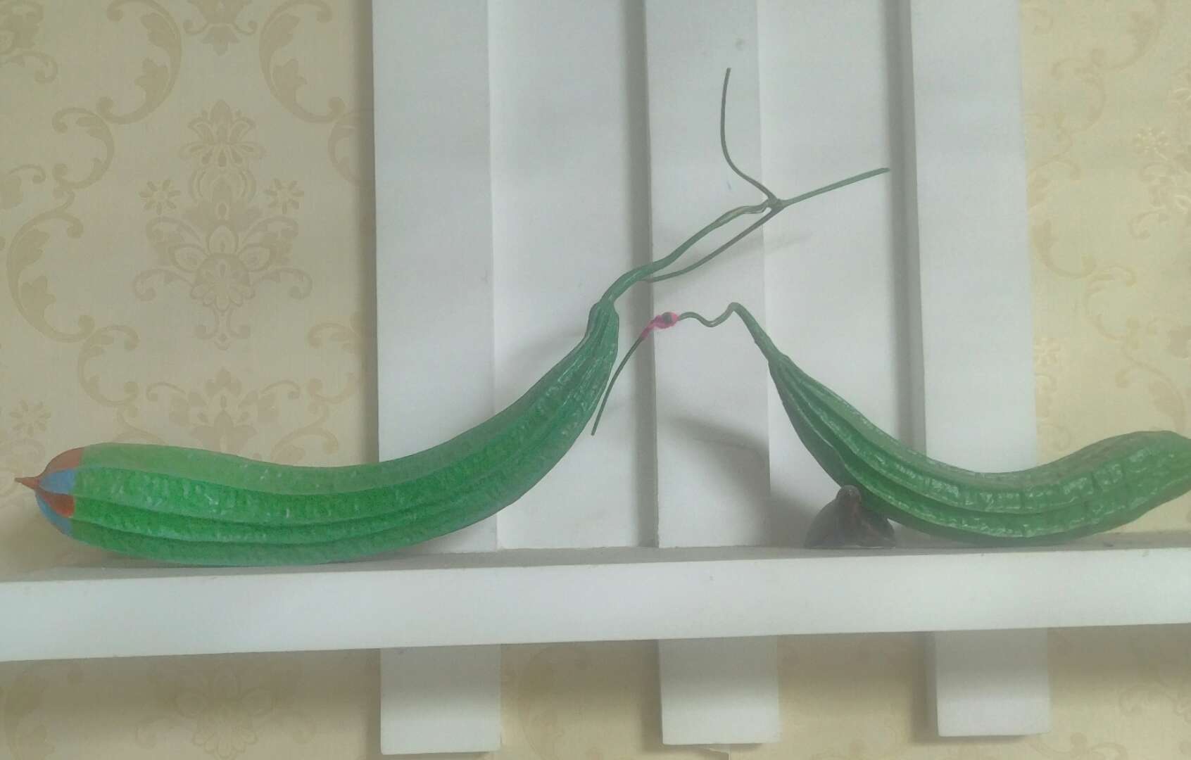 丝瓜曾在我的指背上游走,它默默无言,却做了一件大事