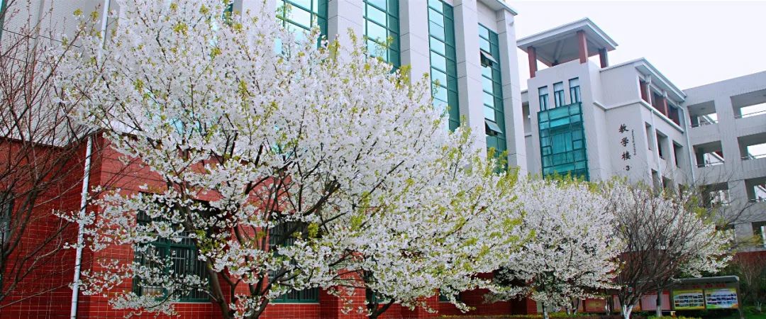 无锡六大高中是哪些,无锡六大高中是哪六大高中