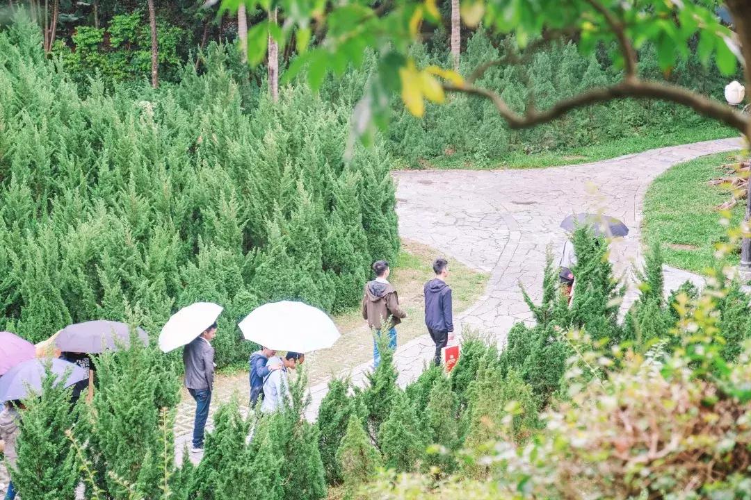 走进南头,这里是中山