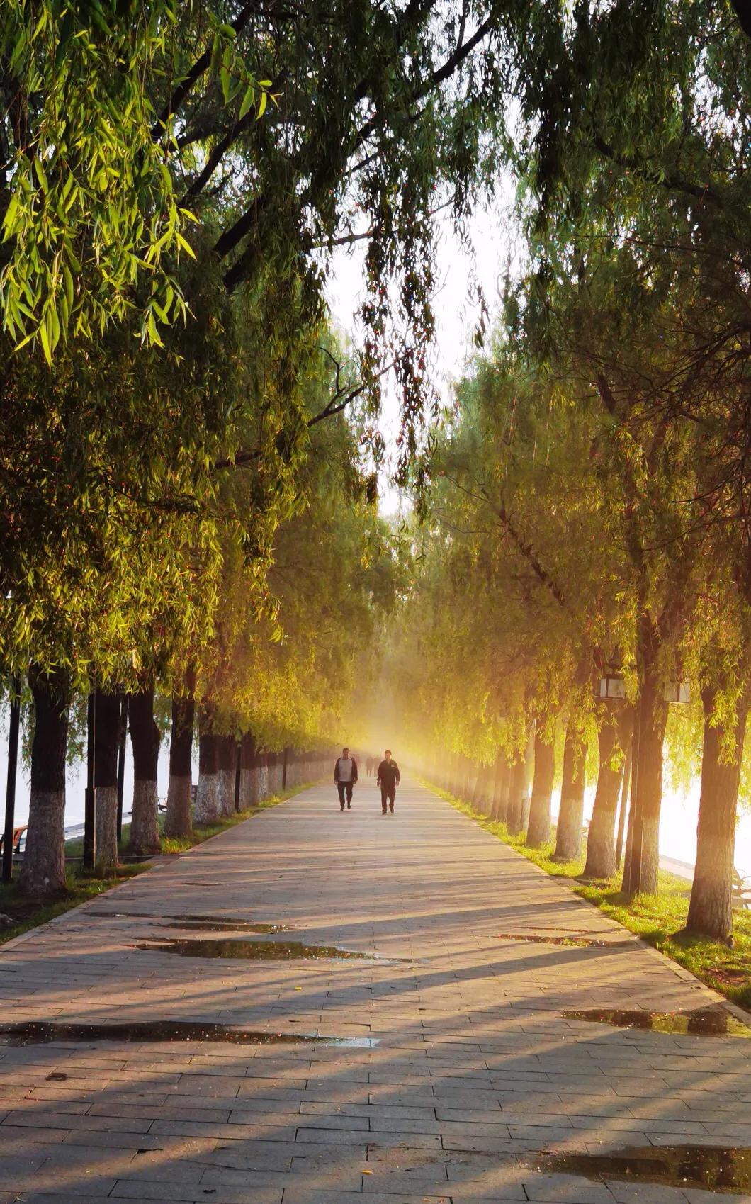 手拍世界投稿,手拍世界作品专集