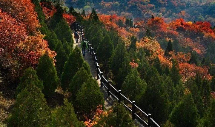 昌平最美的秋景在哪里,北京最美的秋景赏叶胜地香山公园