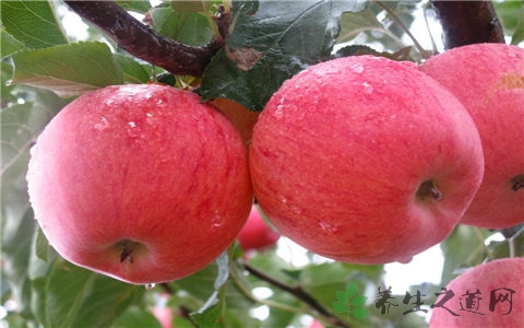 女性精油推拿卵巢保养,按摩女性卵巢保养