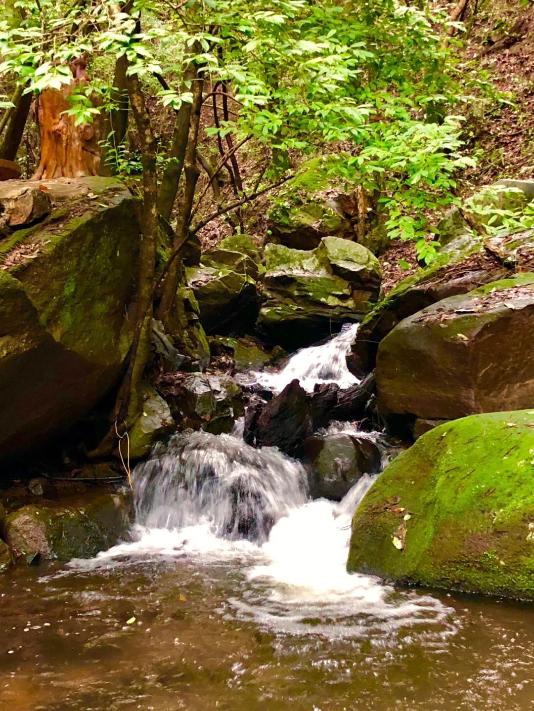 昆明避暑冷惨了外省人,昆明过冬真实感受