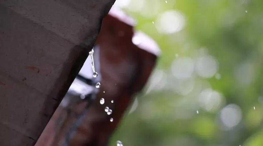 诗词最常用的100个字,诗词中难以启齿的19个字