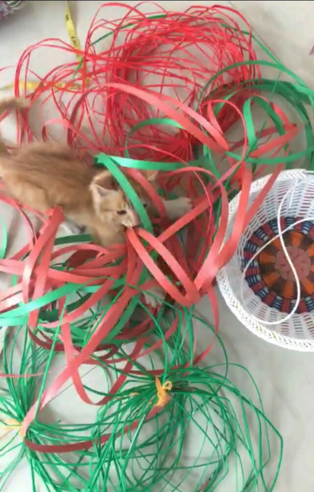 手工编织筐子立体花样图案教程,编筐图解