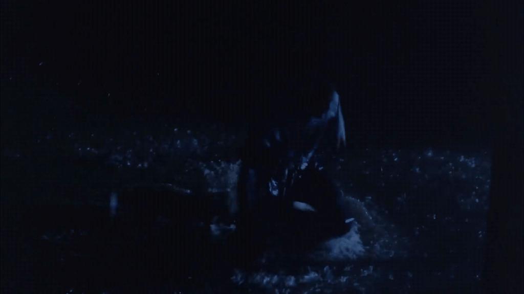 肖申克的救赎狱友打球镜头有几分钟,肖申克的救赎进监狱镜头分析