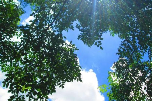 卓有成效的管理者读书心得怎么写,卓有成效的管理者读书笔记与心得
