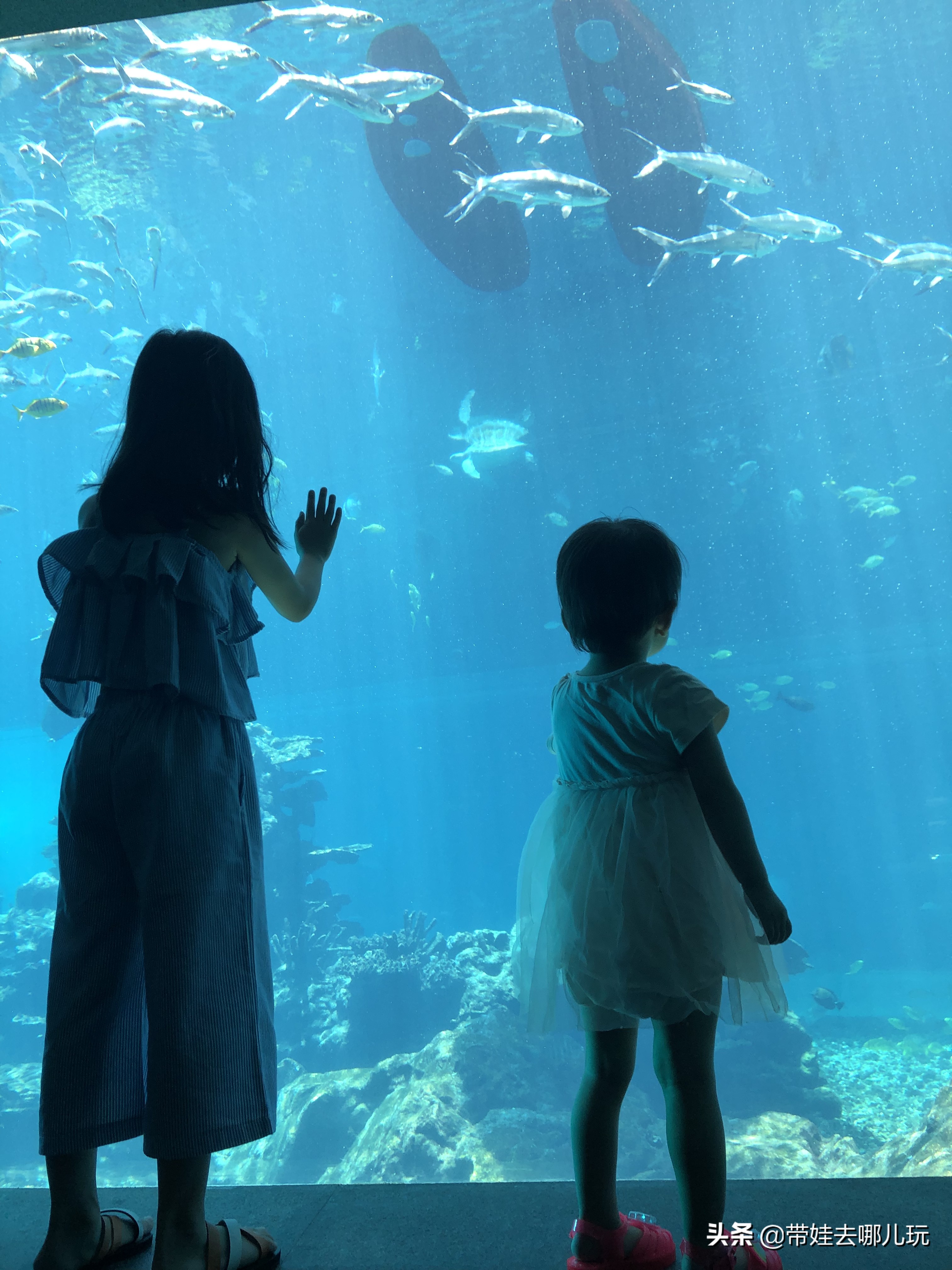 三亚洲际酒店海棠湾海底世界,三亚海棠湾三大顶级酒店