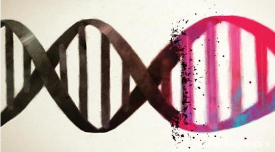 精子dna碎片率的简称,精子dna碎片一般为多少