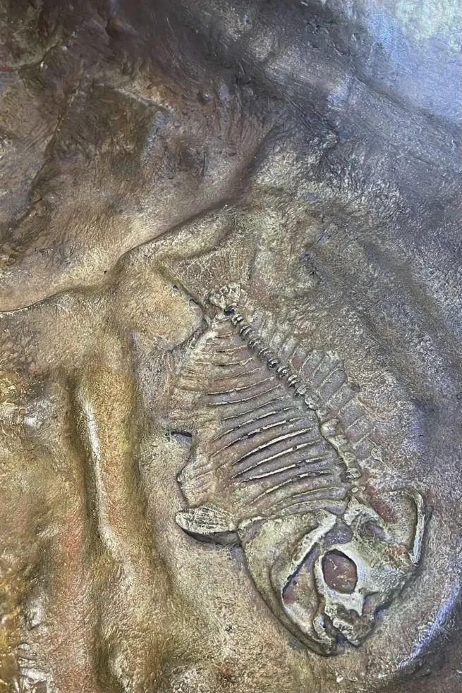 成都春节室内游玩攻略,成都玩耍攻略