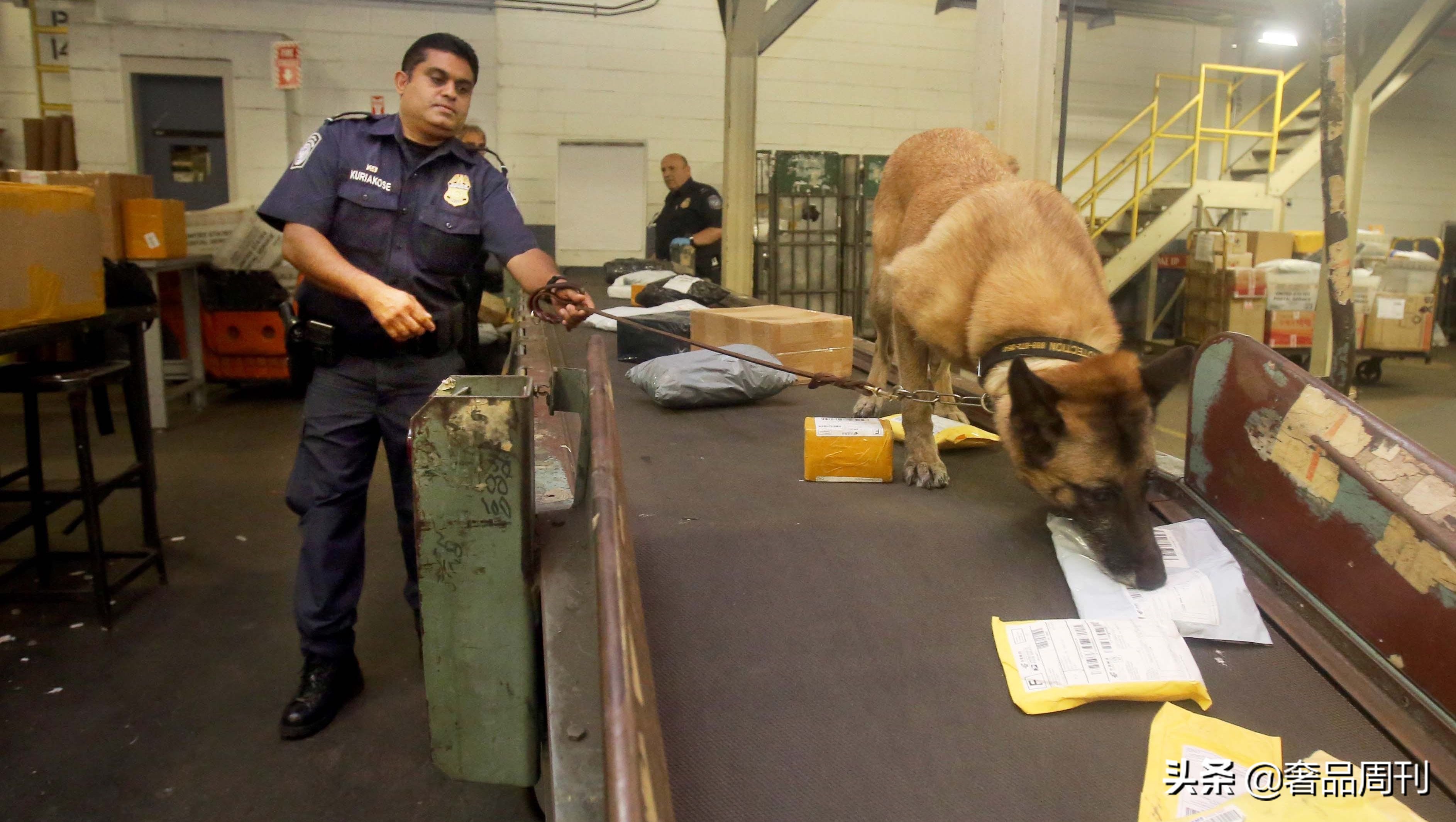 美国t86清关是怎么回事,美国清关poa是什么意思