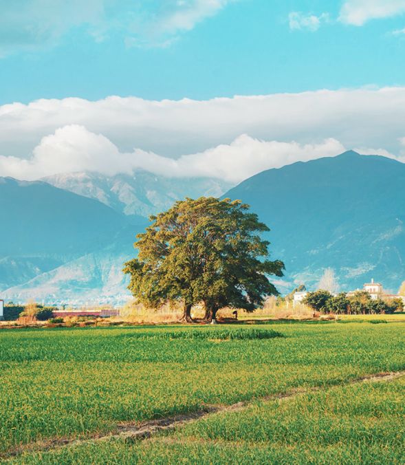 等一个人陪我去大理旅行,如果生活不如意不如一起去大理