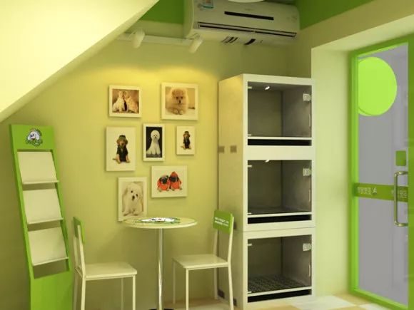 如何装修宠物店高端大气,如何运营一家高端宠物店