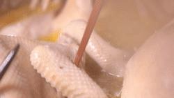 蒙城椒麻鸡与新疆椒麻鸡哪个好吃,蒙城椒麻鸡哪一家好吃