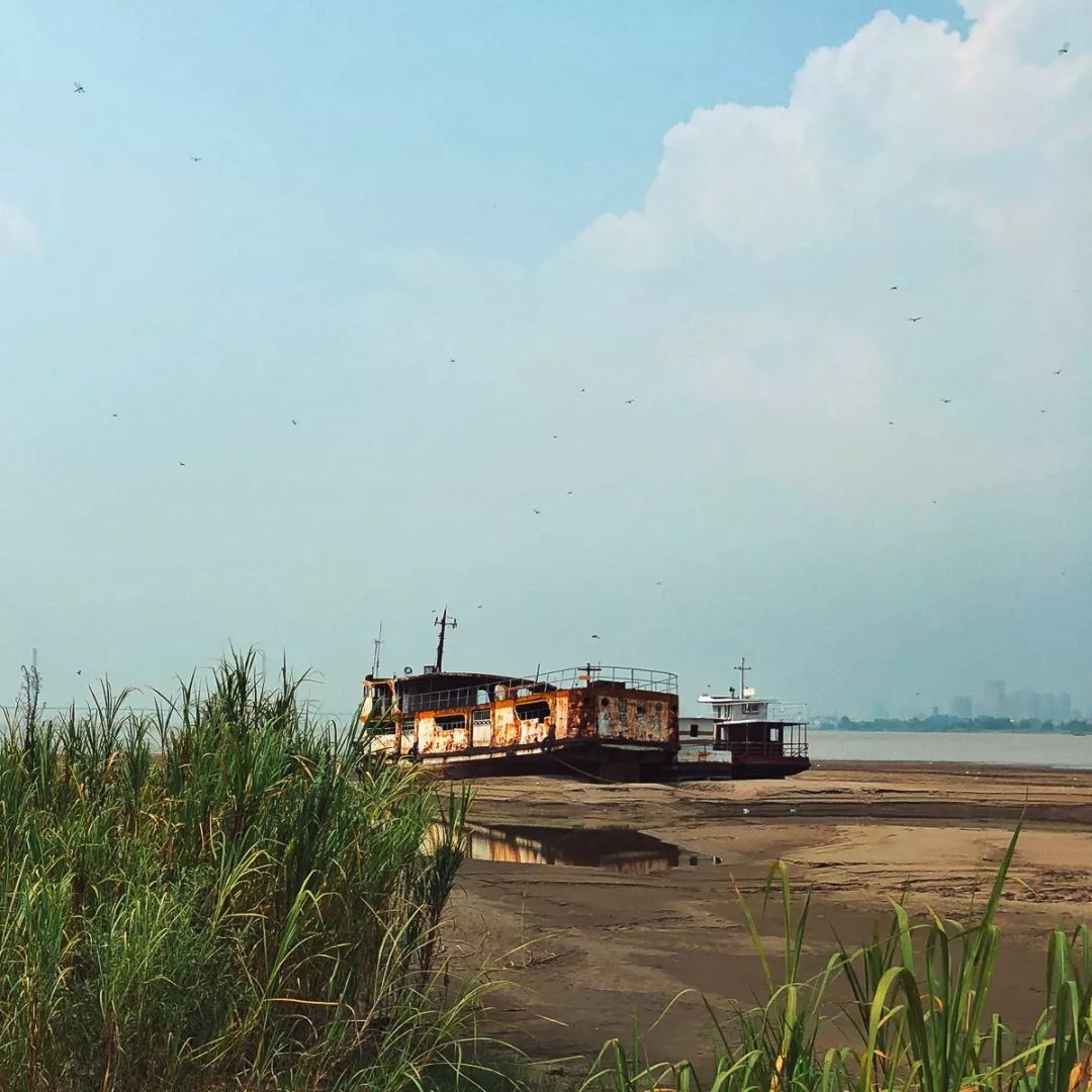 武汉公园免费景点推荐,武汉免费看花景点