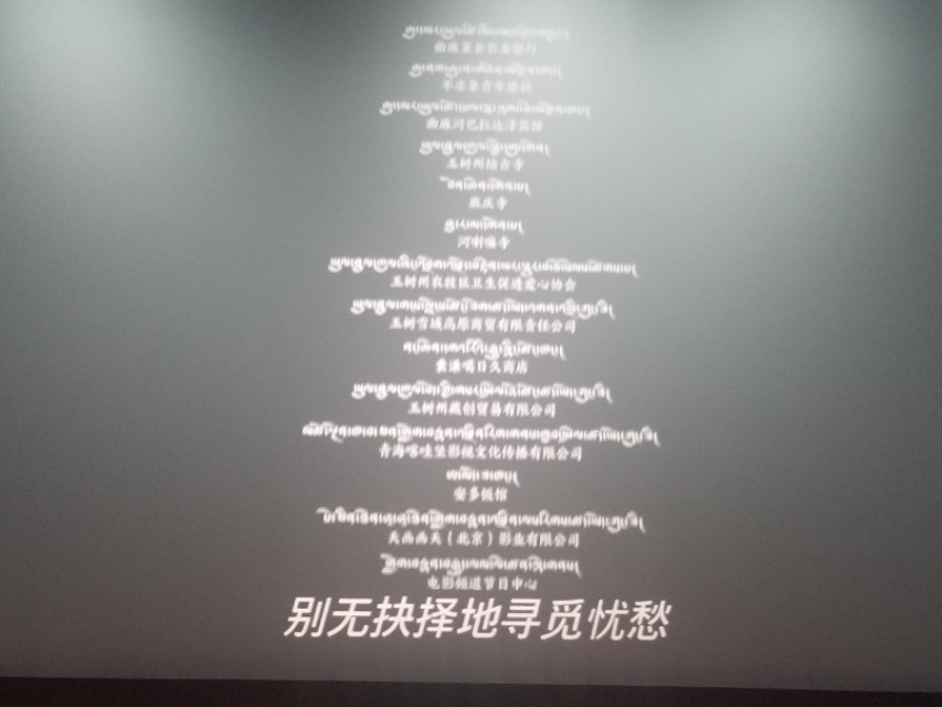 撞死了一只羊影评,撞死了一只羊主题分析