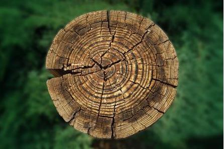 FRANK：实木之上文化匠心创新传承