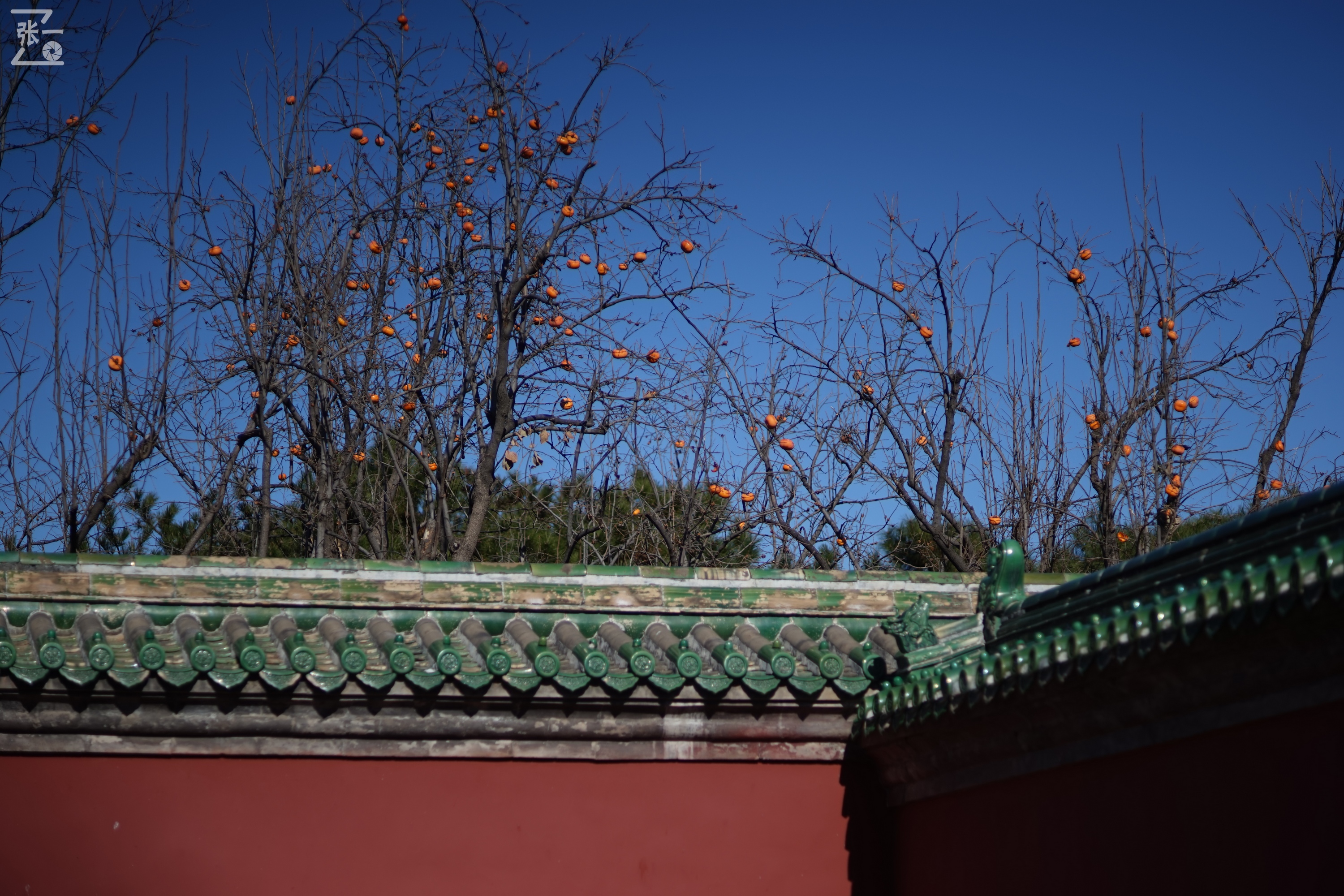 日本老镜头,canon老相机曝光