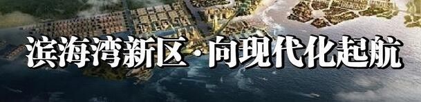 东莞长安最新发展规划,东莞长安滨海湾大桥