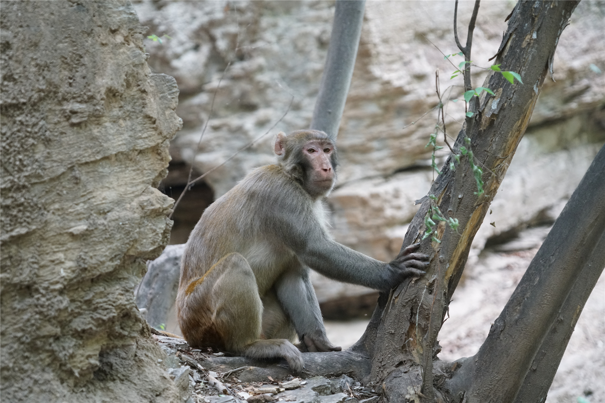 上方山自然保护区,上方山森林国家森林公园周边攻略