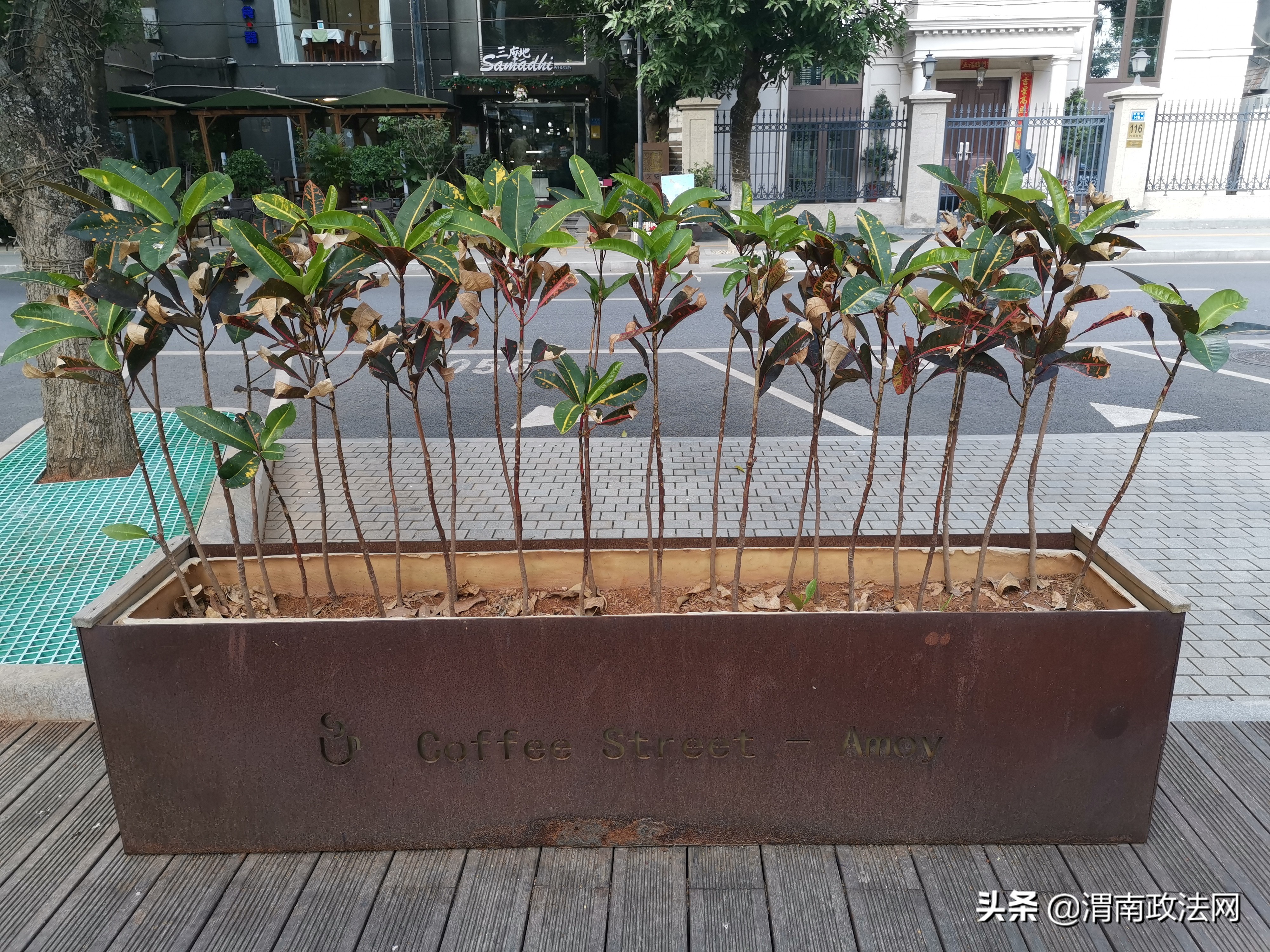 虚实劳荣枝:背负7条人命,却经营积极温暖的形象