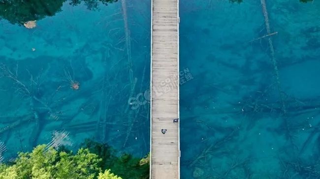 2019九寨沟散客如何进景区,最新九寨沟景区门票免费政策